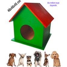 Özgürce Suya Dayanıklı Ahşap Köpek Yuvası, Dış Mekan Kullanımı 40X40X45 cm