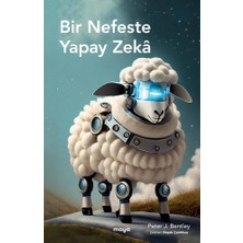 Maya Kitap Bir Nefeste Yapay Zekâ... +9 Adet Bilim Kitabı