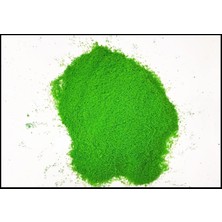 Cp Model 808 Hp-08 Maketler Için Çim Tozu, 20 gr