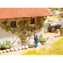 Noch 14118 Yabani Güller, 6 Adet, Diorama Malzemesi