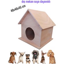 Özgürce Dış Mekan Ahşap Köpek Yuvası 40X40X45 Cm, Suya Dayanıklı ve Şık Tasarım