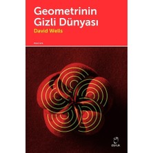 Doruk Yayınları Geometrinin Gizli Dünyası... +2 Adet Bilim Kitabı