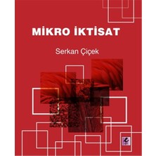 Efil Yayınevi Mikro Iktisat... +5 Adet Akademik Kitaplar Kitabı