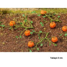 Faller 181258 Bal Kabakları, 6 Adet