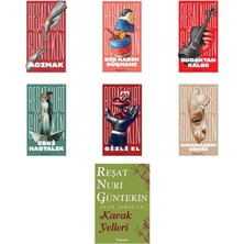 İnkılap Kitabevi Reşat Nuri Güntekin Acımak +6 Adet Kitap Set