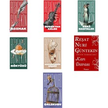 İnkılap Kitabevi Reşat Nuri Güntekin Acımak +6 Adet Kitap Set
