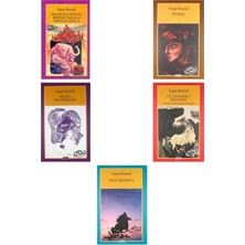 Yapı Kredi Yayınları Yaşar Kemal Filler Sultanı ile Kırmızı Sakallı Topal +4 Adet Kitap Set
