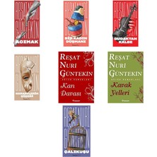 İnkılap Kitabevi Reşat Nuri Güntekin Acımak +6 Adet Kitap Set