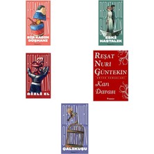 İnkılap Kitabevi Reşat Nuri Güntekin Bir Kadın Düşmanı +4 Adet Kitap Set