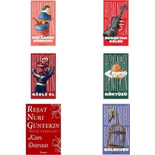 İnkılap Kitabevi Reşat Nuri Güntekin Bir Kadın Düşmanı +5 Adet Kitap Set