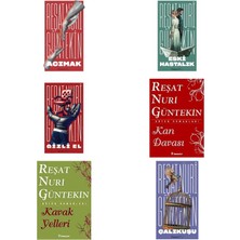 İnkılap Kitabevi Reşat Nuri Güntekin Acımak +5 Adet Kitap Set