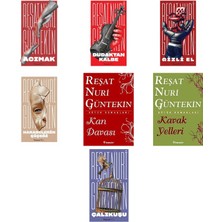 İnkılap Kitabevi Reşat Nuri Güntekin Acımak +6 Adet Kitap Set