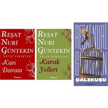 İnkılap Kitabevi Reşat Nuri Güntekin Kan Davası +2 Adet Kitap Set