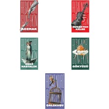 İnkılap Kitabevi Reşat Nuri Güntekin Acımak +4 Adet Kitap Set