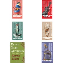 İnkılap Kitabevi Reşat Nuri Güntekin Bir Kadın Düşmanı +5 Adet Kitap Set