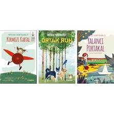 Tudem Yayınevi Miyase Sertbarut Kırmızı Kartal +2 Adet Kitap Set