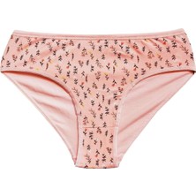 Çerçici Pamuklu Geniş Kenarlı Likralı Desenli Bato Kadın Külot Desen 9-Royaleks