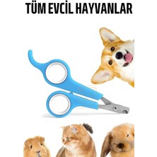Creatividad Solutions Kedi Tırnak Makası Evcil Hayvan Köpek Tavşan Tırnak Makası 721113