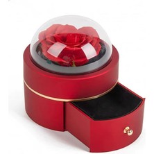 Özgürce Kırmızı Renkli Gül Figürlü Takı Organizeri, Şık ve Pratik Depolama