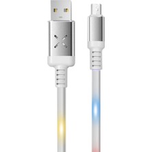 İlk El Grup DC09 Ses Duyarlı Işıklı Micro USB Kablo 1m 2A - Beyaz Tkç(Itd)
