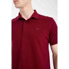 Lacoste Polo Paris Bordo Regular Fit