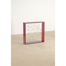 Özgürce Şık Tragus Piercing Takı ve Küpe Standı, Kolay Kullanım ve Estetik Tasarım