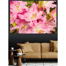 Mushen Studio Pembe Zambak Çiçekleri Yakın Çekim Doğal Kanvas Tablo