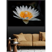 Mushen Studio Beyaz Nilüfer Çiçeği Sarı Turuncu Yakın Çekim Kanvas Tablo