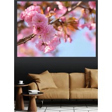 Mushen Studio Pembe Kiraz Çiçeği Sakura Dalları Bahar Kanvas Tablo