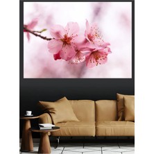 Mushen Studio Pembe Sakura Kiraz Çiçeği Dalları Bahar Kanvas Tablo