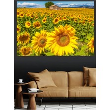 Mushen Studio Ayçiçeği Tarlası Provence Ev Manzarası Kanvas Tablo