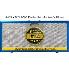 Hgnm E-Trading Electrolux 4055380804 Davlumbaz Yağ Filtresi 470X169 mm Metal Aspiratör Filtresi Uyumlu 50268017006