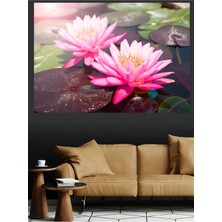 Mushen Studio Pembe Nilüfer Çiçekleri Su Üzerinde Lotus Kanvas Tablo