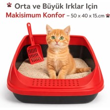 Hayke Kürekli Açık Kedi Tuvaleti - Sıçrama Önleyici Yüksek Kenarlı Kedi Kumu Kabı