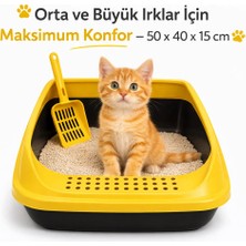 Hayke Kedi Tuvalet Kabı Kürekli – Geniş Açık Kedi Kum Kabı Kaymaz, Koku Önleyici, Kolay Temizlenir