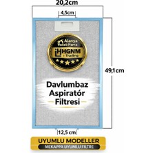 Hgnm E-Trading 490X200 Mekappa Davlumbaz Filtresi 202X491 mm Metal Telli Yağ Filtresi Aspiratör Uyumlu 20X49 cm 316354346