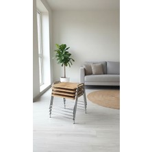 Sofex 4'lü Tepsi Model Modern Sehpa