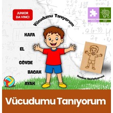 Özgürce Eğitici Ahşap Stem Puzzle, Montessori Çocuk Oyuncakları, Gelişim Destek
