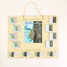 Özgürce Eğitici Okul Öncesi Karşılaştırma Oyunu – Kaplumbağa Türleri Montessori Aktivitesi