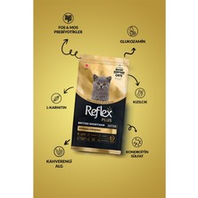 Reflex Plus British Shorthair Hipoalerjenik Yavru Kedi Maması 1,5 kg