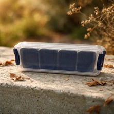 Ness Global 4 Bölmeli Kapaklı Saklama Kabı – Çok Amaçlı Düzenleyici Organizer Kutusu 2,5 Litre