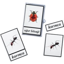 Özgürce Eğitici Montessori Üç Parçalı Böcekler Eşleştirme Kartları Seti