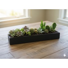 KRB Ahşap Siyah Ahşap Mini Kaktüs ve Sukulent Saksısı 50 cm