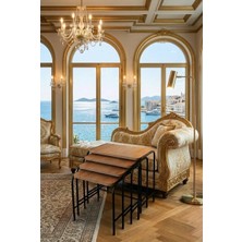 Homebella Homebella Antic Light Parlak 4'lü Zigon Sehpa Siyah Metal Ayaklı  Üreticiden