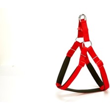 Esranın Dünyası Köpek Bel Tasması 70CM Large Kırmızı