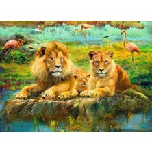 Nacario 500P Puzzle Aslan Ailesi, Yapboz