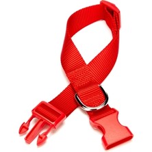 Mestore Doggie Dokuma Köpek Boyun Tasması 2 cm x 30-45 cm Kırmızı 25 kg - DABT2010-KRMZ