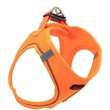 Mestore Tailpetz Air Mesh Köpek Göğüs Tasması 2xsmall 28X32 cm Neo Orange - Tlzpz-Xxs-Notrnc