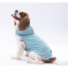 Mestore Pawstar Aqua Sunny Kapşonlu Tişört Large 30X33X46 cm - 24812-L