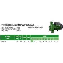 Mestore Atlantis MHF5A 1,5 Hp Tek Kademeli Santrifuj Pompa - 9996672821887